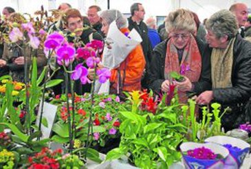 Eibar acogerá la VII edición de la Feria de Flores y Plantas el 18 de marzo 